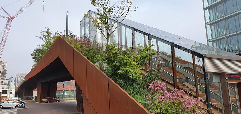 wandelen-in-de-omgevong-van-den-bosch-muyserick-en-maurick-22