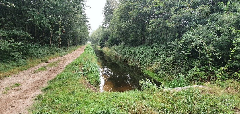 Wandeling over Blankens Kerkhof in Veghel