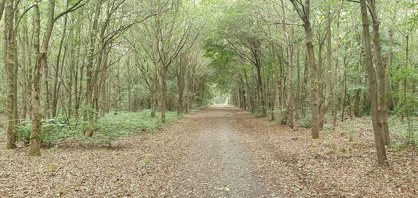 Wandeling over Blankens Kerkhof in Veghel
