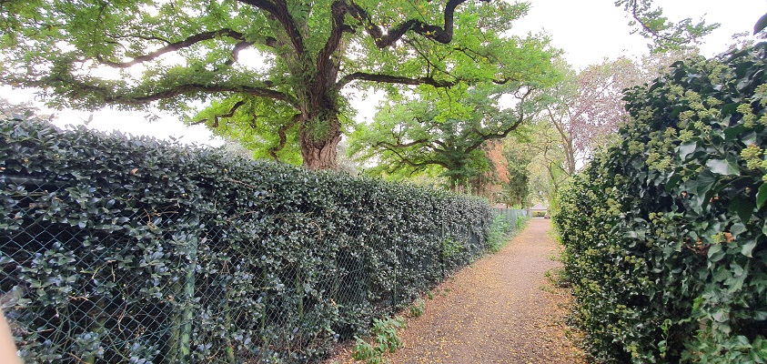 historische-wandeling-boekel-toen-en-nu-4 Historische wandeling Boekel Toen en Nu