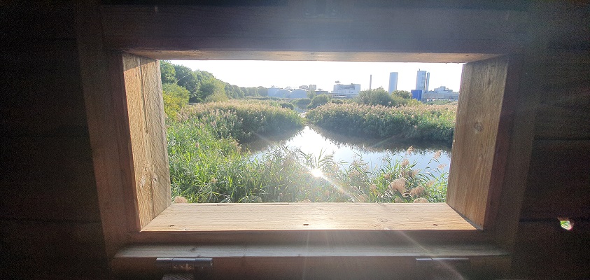 IVN-wandeling over de Nieuwe Heide bij Best
