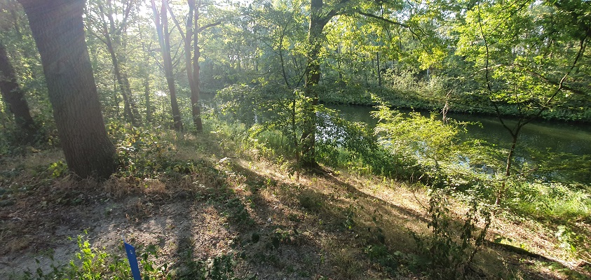 IVN-wandeling over de Nieuwe Heide bij Best