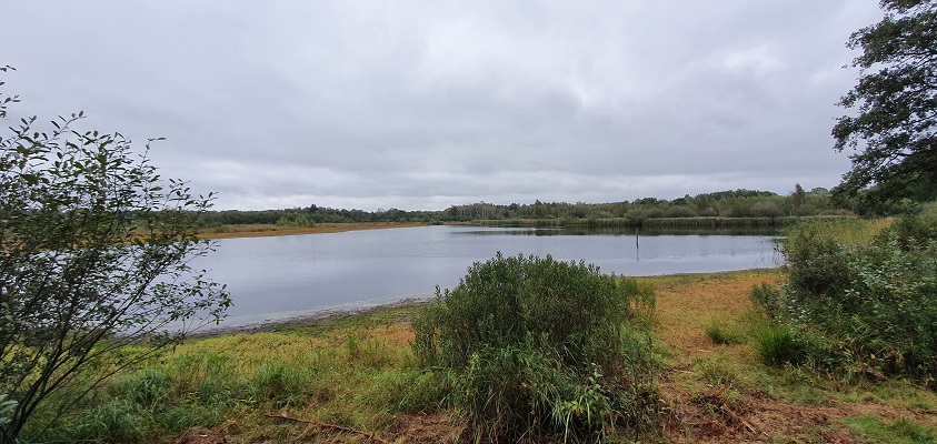 Wandeling over Trage Tocht Spoordonk bij het Winkelsven