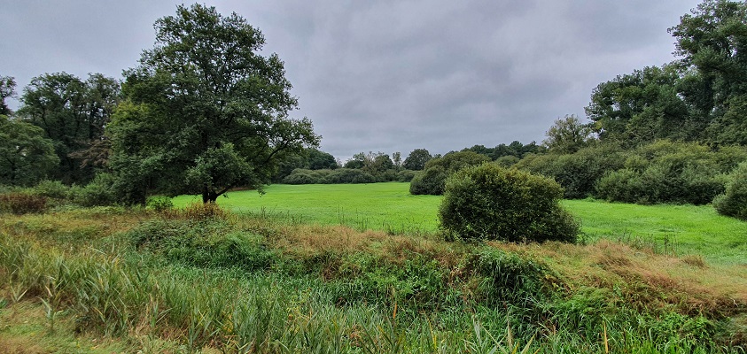 Wandeling over Trage Tocht Spoordonk