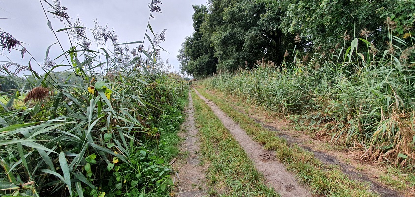 trage-tocht-spoordonk-22 Wandeling over Trage Tocht Spoordonk