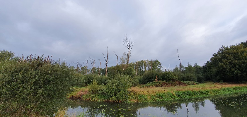 trage-tocht-spoordonk-4 Trage Tocht Spoordonk bij de Beerze