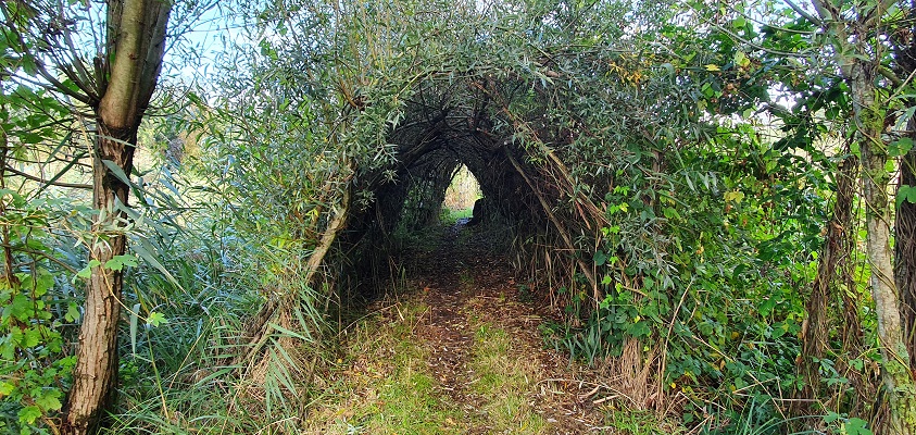 Wandeling over de Dullaert-route bij Waspik bij Den Dulver