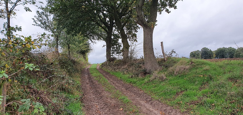 Wandeling bij Ven-Zelderheide