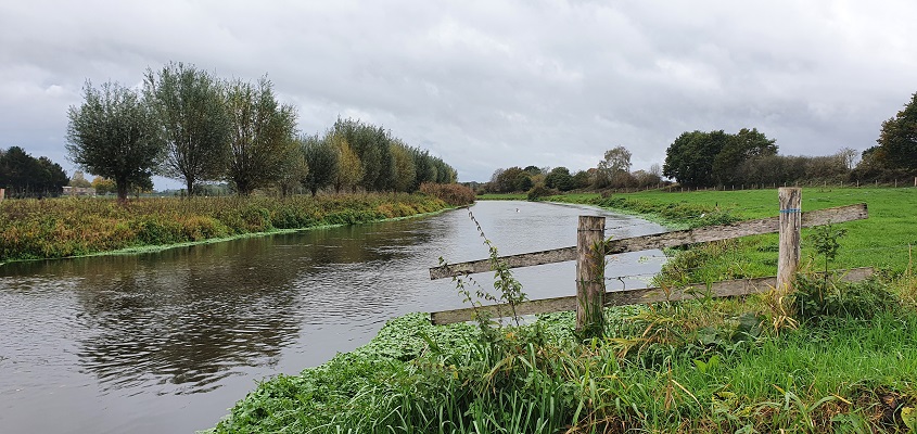 Wandeling bij Ven-Zelderheide bij de Niers