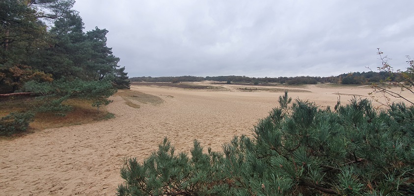 trage-tocht-11 Wandeling over Trage Tocht Giersbergen bij de Loonse en Drunense Duinen