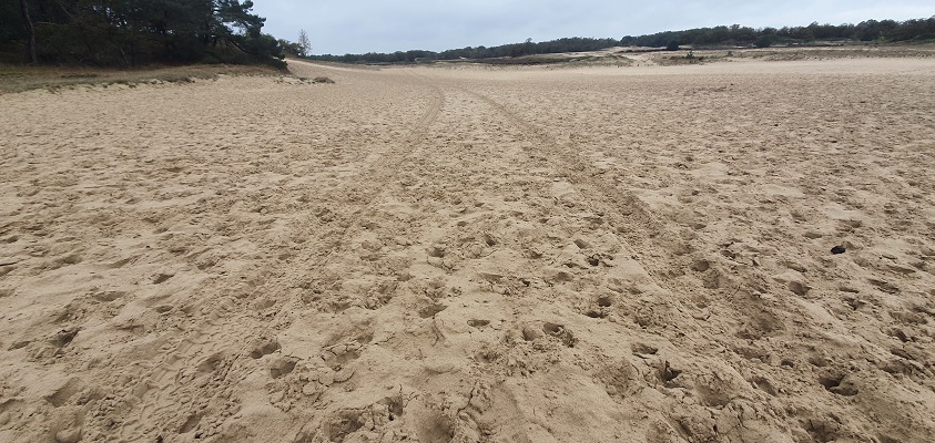 Wandeling over Trage Tocht Giersbergen bij de Loonse en Drunense Duinen