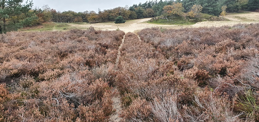 Wandeling over Trage Tocht Giersbergen bij de Loonse en Drunense Duinen