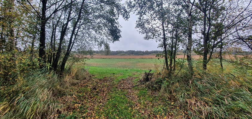 Wandeling over Trage Tocht Giersbergen in natuurgebied De Brand