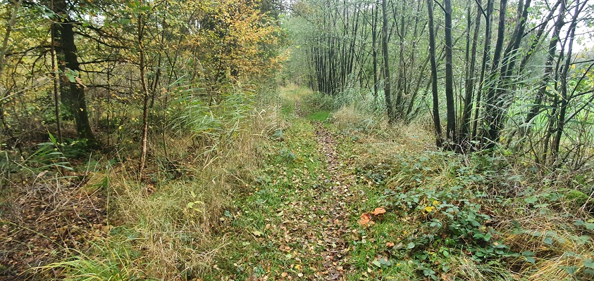 Wandeling over Trage Tocht Giersbergen in natuurgebied De Brand
