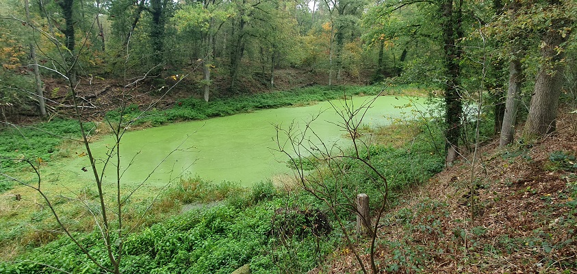 Wandeling over Trage Tocht Kasteel Arcen bij de Fossa Eugeniana