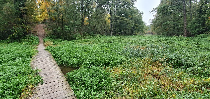 trage-tocht-kasteel-arcen-13 Wandeling over Trage Tocht Kasteel Arcen bij de Fossa Eugeniana