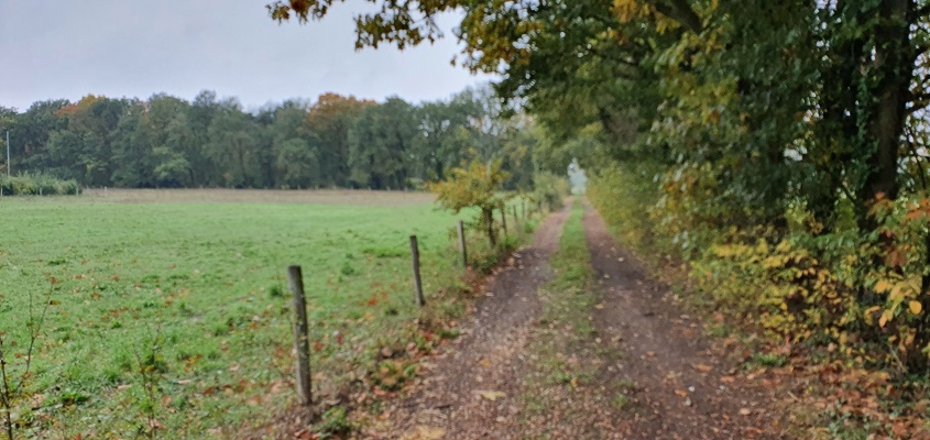 trage-tocht-kasteel-arcen-15 Wandeling over Trage Tocht Kasteel Arcen
