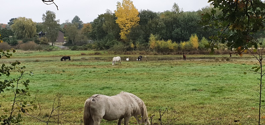 trage-tocht-kasteel-arcen-16 Wandeling over Trage Tocht Kasteel Arcen