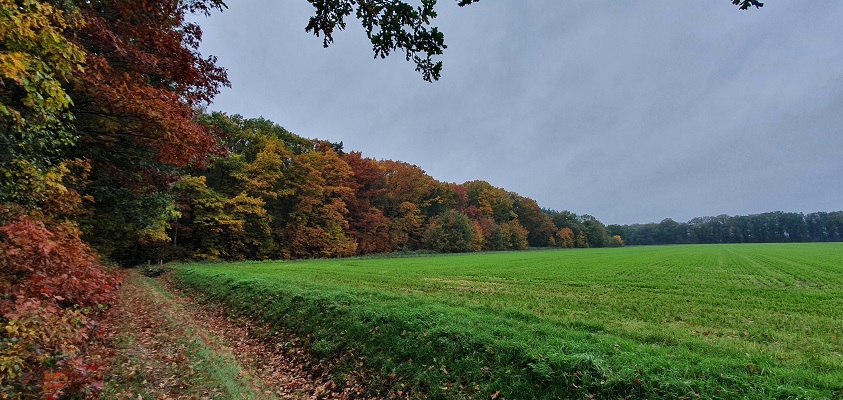 trage-tocht-kasteel-arcen-17 Wandeling over Trage Tocht Kasteel Arcen