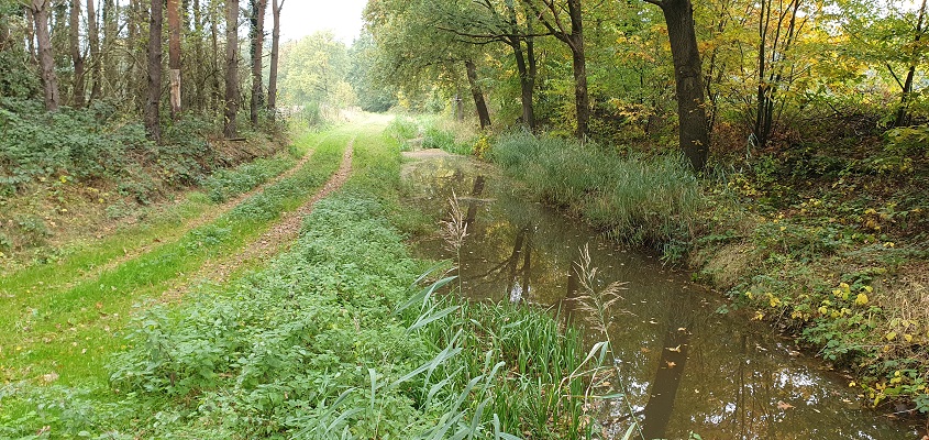 trage-tocht-kasteel-arcen-18 Wandeling over Trage Tocht Kasteel Arcen bij de Lingsforterbeek
