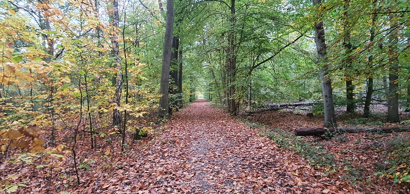trage-tocht-kasteel-arcen-6 Wandeling over Trage Tocht Kasteel Arcen bij landgoed Arcen