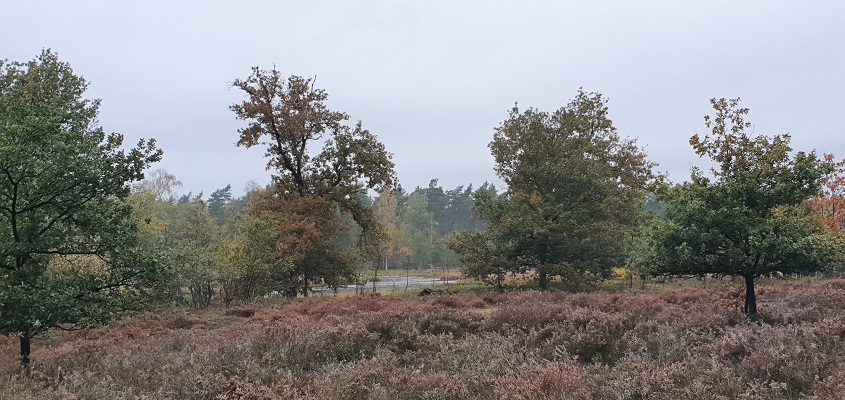 trage-tocht-kasteel-arcen-7 Wandeling over Trage Tocht Kasteel Arcen bij landgoed Arcen