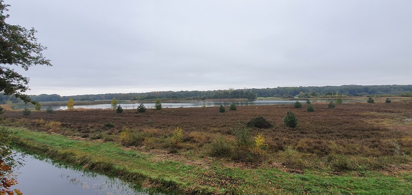 Wandeling over Trage Tocht Kasteel Arcen bij het Straelens Schuitwater
