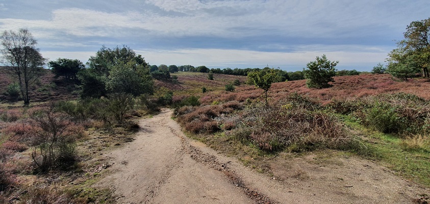 Wandeling over Trage Tocht Plasmolen-Mook op de Mookerhei