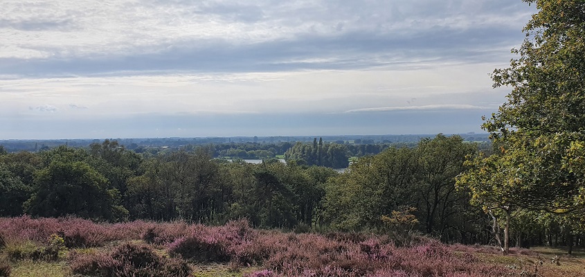 Wandeling over Trage Tocht Plasmolen-Mook op de Mookerhei