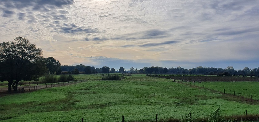 Wandeling over Trage Tocht Plasmolen-Mook bij het Achterbroek