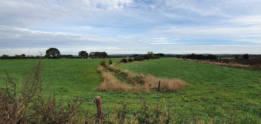 Wandeling over Trage Tocht Plasmolen-Mook