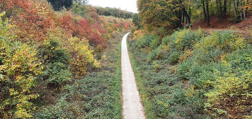 Wandeling over Geopad Mulderskop-Hooge-Hoenderberg bij voormalige spoorlijn Nijmegen-Kleef