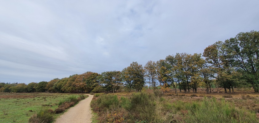geopad-mulderskop-hooge-hoenderberg-3 Wandeling over Geopad Mulderskop-Hooge-Hoenderberg
