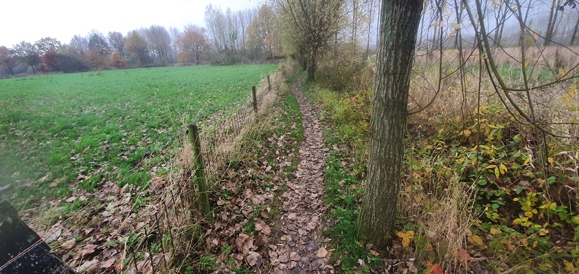 Wandeling over ommetje Smaldonk bij Schijndel
