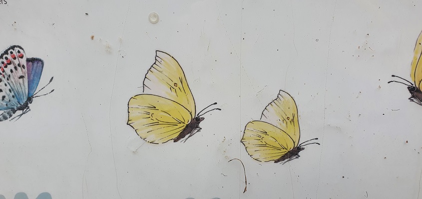 Wandeling over ommetje Smaldonk bij Schijndel