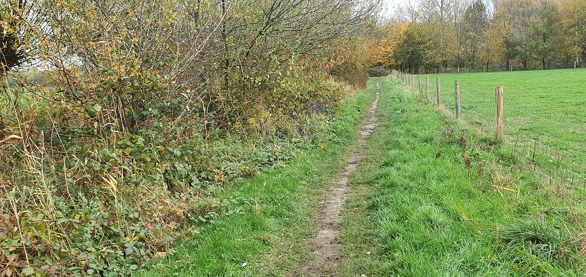 ommetje-smaldonk-2 Wandeling over ommetje Smaldonk bij Schijndel