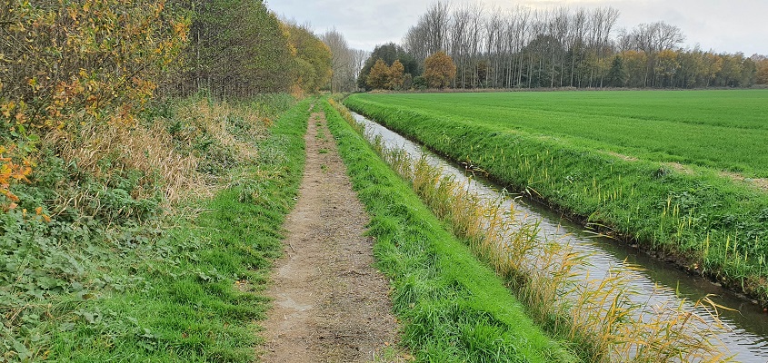 ommetje-smaldonk-21 Wandeling over ommetje Smaldonk bij Schijndel