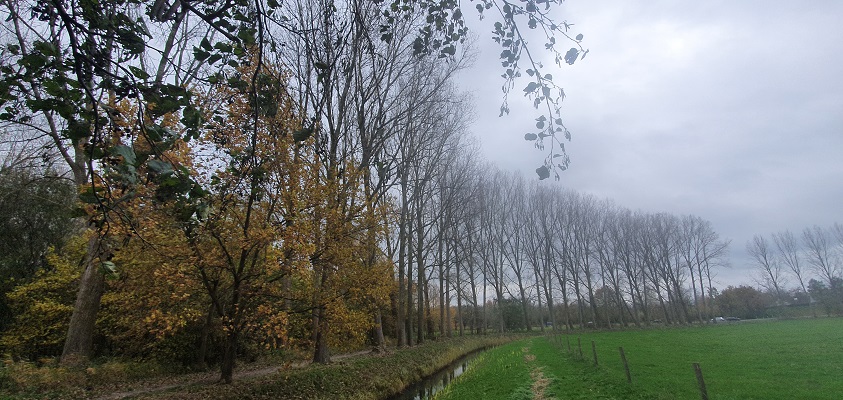 ommetje-smaldonk-5 Wandeling over ommetje Smaldonk bij Schijndel