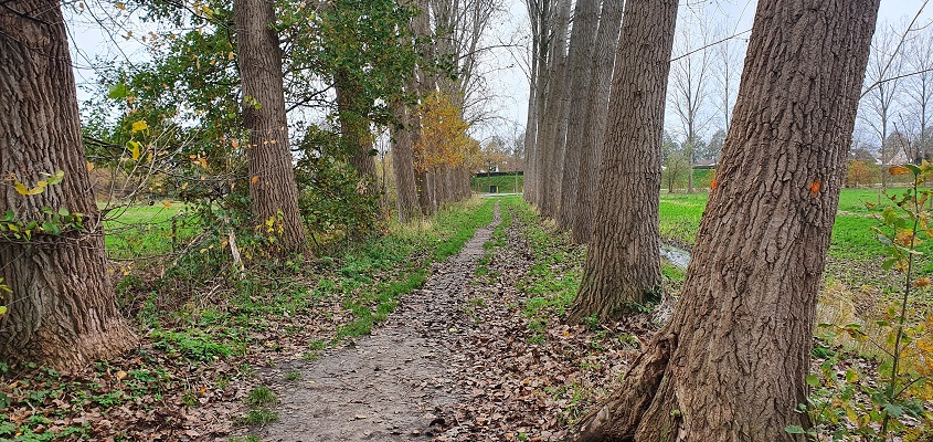 ommetje-smaldonk-7 Wandeling over ommetje Smaldonk bij Schijndel