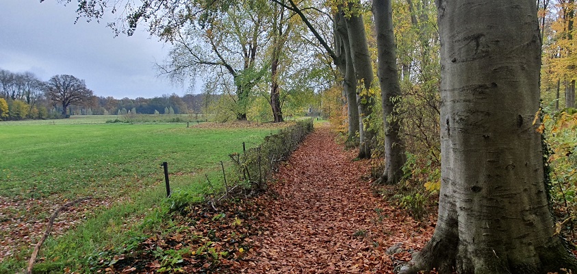 trage-stadse-tocht-15 Wandeling over Stadse Trage Tocht Zutphen