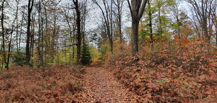 Wandeling over Stadse Trage Tocht Zutphen