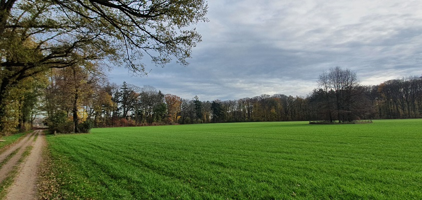 trage-stadse-tocht-9 Wandeling over Stadse Trage Tocht Zutphen