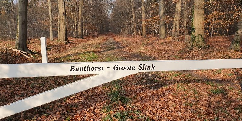 Wandeling over Trage Tocht Bunthorst en Groote Slink