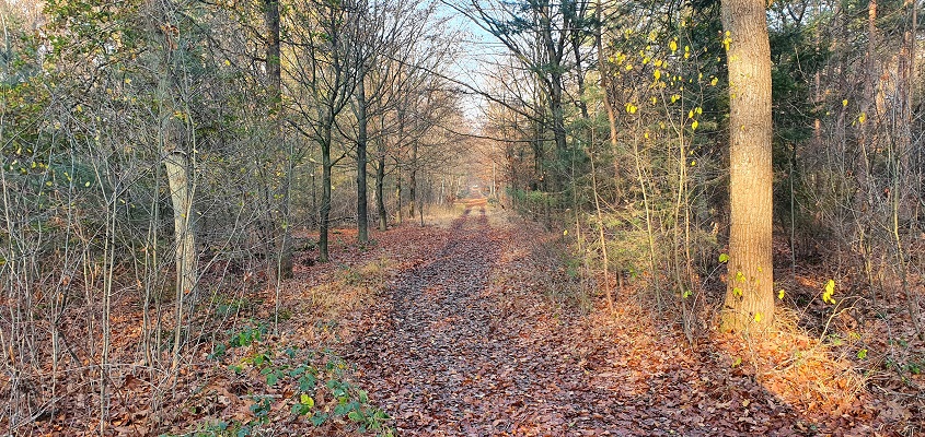 trage-tocht-bunthorst-en-groote-slink-15 Wandeling over Trage Tocht Bunthorst en Groote Slink