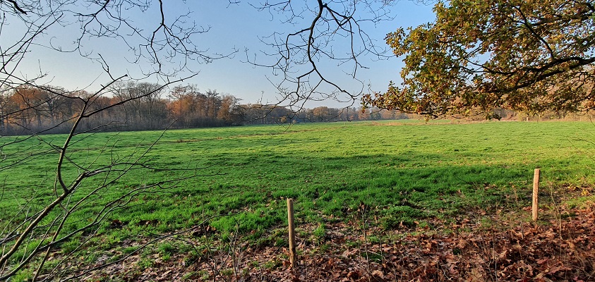 trage-tocht-bunthorst-en-groote-slink-20 Wandeling over Trage Tocht Bunthorst en Groote Slink