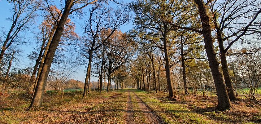 Wandeling over Trage Tocht Bunthorst en Groote Slink