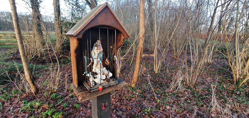 Wandelen in de omgeving van Den Bosch bij Haanwijk