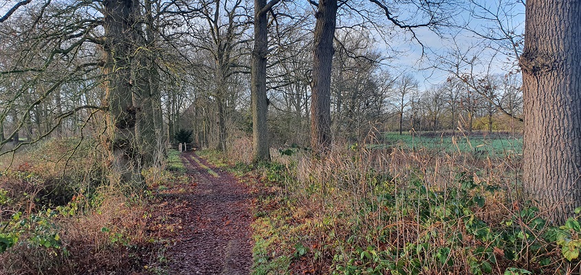 Wandelen in de omgeving van Den Bosch bij het Sterrenbos