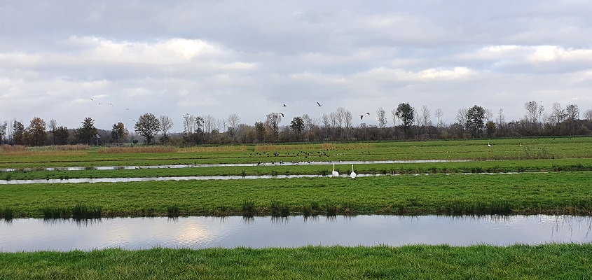 Wandeling Blauwe Poort Laarbeek bij Boerdonk