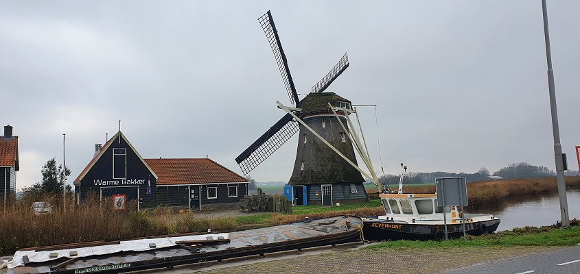 Wandeling over Westfriese Omringdijk van Ursem naar Alkmaar bij molen de Otter in Oterleek